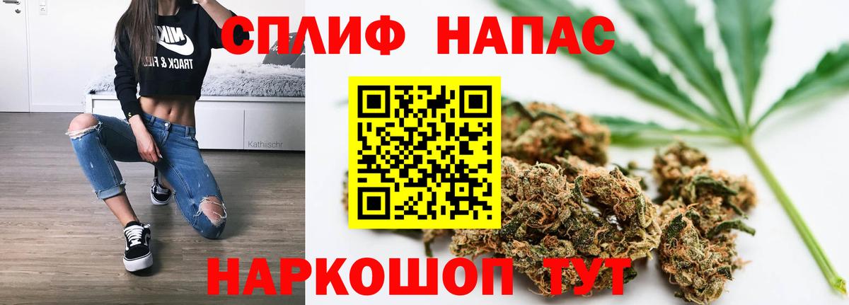 Конопля планчик Сочи